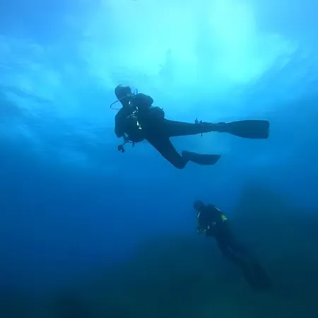 Quinta Da Faya * Angra do Heroísmo