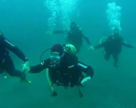 Quinta Da Faya * Angra do Heroísmo