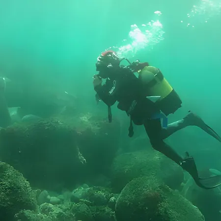 Quinta Da Faya * Angra do Heroísmo