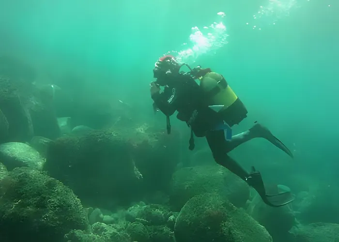 Quinta Da Faya * Angra do Heroísmo