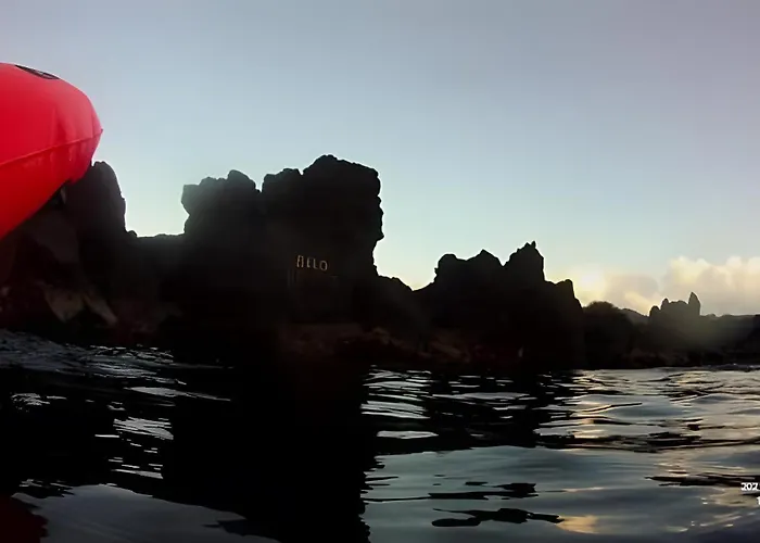 Quinta Da Faya Διαμέρισμα